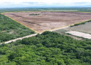 Comunidades de Manzanillo, Copey y Carbonera logran histórico avance ante Grupo BID: MICI declara elegible reclamo de 17 organizaciones
