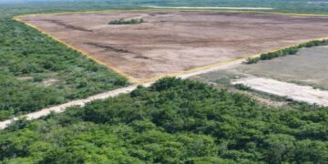 Comunidades de Manzanillo, Copey y Carbonera logran histórico avance ante Grupo BID: MICI declara elegible reclamo de 17 organizaciones