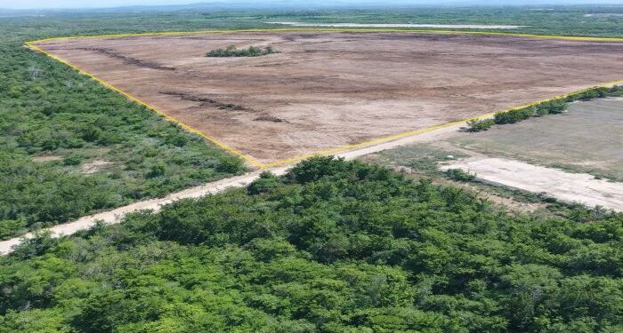Comunidades de Manzanillo, Copey y Carbonera logran histórico avance ante Grupo BID: MICI declara elegible reclamo de 17 organizaciones