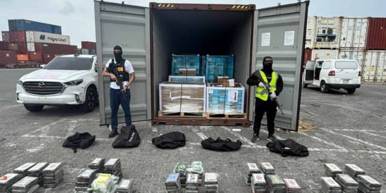 Ocupan 123 kilos de cocaína en Puerto Multimodal Caucedo