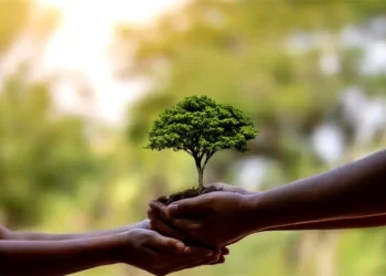 Día del Árbol