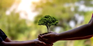 Día del Árbol