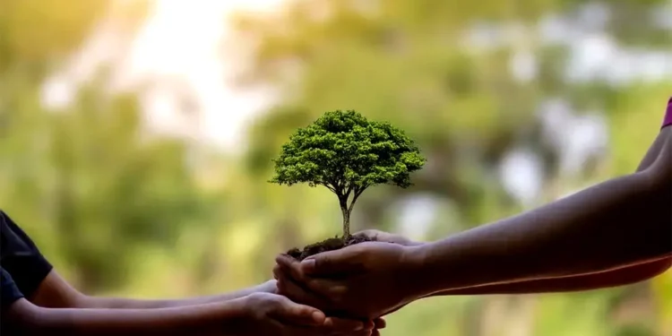 Día del Árbol