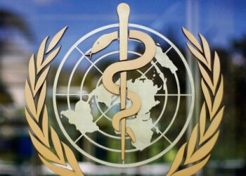 La OMS eleva a seis los casos confirmados de “hantavirus”