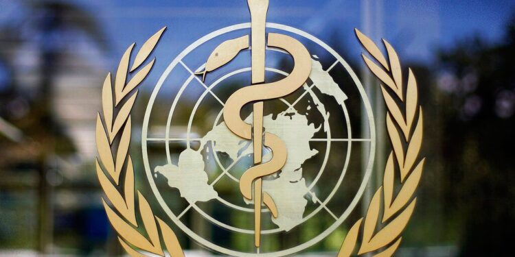 La OMS eleva a seis los casos confirmados de “hantavirus”