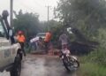 Segundo ventaron y rayo dejan sin electricidad y transito obstruido en Dajabón