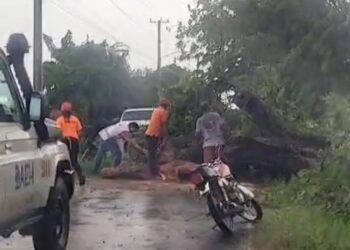 Segundo ventaron y rayo dejan sin electricidad y transito obstruido en Dajabón