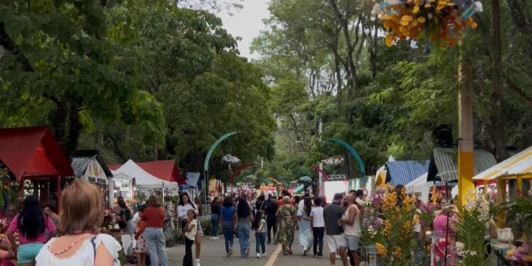 Miles asisten al XV Festival de las Flores en ciudad Jarabacoa