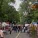 Miles asisten al XV Festival de las Flores en ciudad Jarabacoa