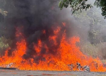 Más de tres toneladas de drogas salen de circulación tras ser destruidas por el Inacif