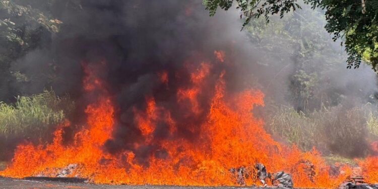 Más de tres toneladas de drogas salen de circulación tras ser destruidas por el Inacif