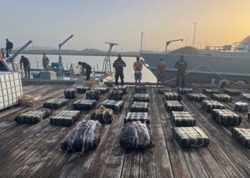 Autoridades decomisan 1,743 paquetes de presuntas drogas