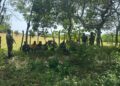 Patrullas del ERD interceptan a 88 migrantes indocumentados en operativos realizados en Valverde, Dajabón y Montecristi