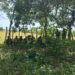 Patrullas del ERD interceptan a 88 migrantes indocumentados en operativos realizados en Valverde, Dajabón y Montecristi
