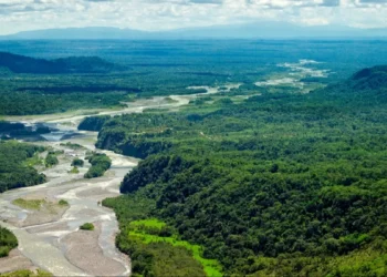 Depredación en ríos y bosques en Dajabón