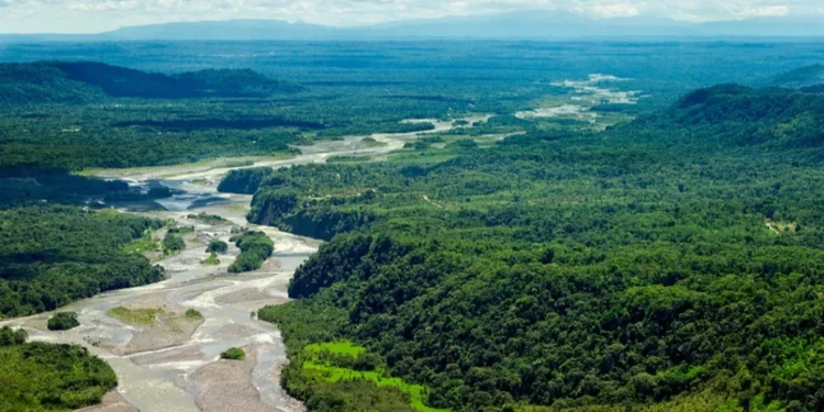 Depredación en ríos y bosques en Dajabón