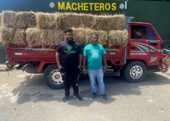 Ejército retiene camión cargado con 125 postes de cambrón ocultos entre pacas de paja sin permiso ambiental en Esperanza, Valverde
