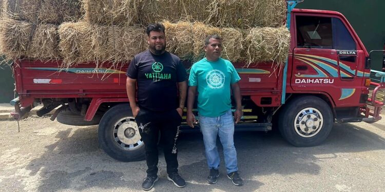 Ejército retiene camión cargado con 125 postes de cambrón ocultos entre pacas de paja sin permiso ambiental en Esperanza, Valverde