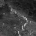 Patrullas del Ejército y unidades de drones detectan y detienen a 70 haitianos indocumentados en Dajabón