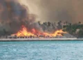 ¿Qué se sabe del incendio en el Viva Wyndham Dominicus Beach y la evacuación de huéspedes?