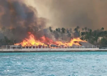 ¿Qué se sabe del incendio en el Viva Wyndham Dominicus Beach y la evacuación de huéspedes?