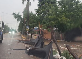 Lluvias con Fuertes vientos derriban árboles letreros, tendido eléctrico y cultivos de arroz en Dajabón