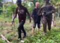 Ejército detiene a 55 haitianos indocumentados en dos operativos realizados en Guayubín