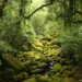 Día Mundial del Medio Ambiente