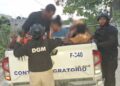 Operativos migratorios reportan detenidos en Friusa y Verón este miércoles, DGM deportó 1038 indocumentados
