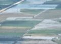 Parceleros de la Vigía marcharan para que el INDRHI resuelva problemas de las inundaciones en la zona arroceras