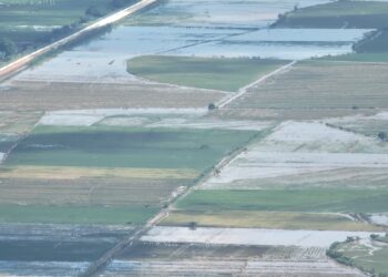 Parceleros de la Vigía marcharan para que el INDRHI resuelva problemas de las inundaciones en la zona arroceras