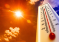 Llegó el verano