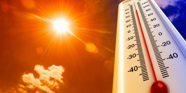 Llegó el verano