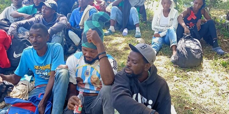 Patrullas del Ejército interceptan a 48 migrantes indocumentados en intervenciones realizadas en San Juan y Elías Piña