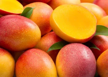 La mosca de la fruta