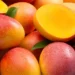 La mosca de la fruta