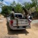 Detienen  casi un centenar de haitianos en estatus migratorio irregular durante operativo de la DGM en Tamboril
