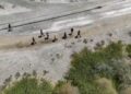 En operativo en manglares de Montecristi soldados del Ejército frustran tráfico de indocumentados