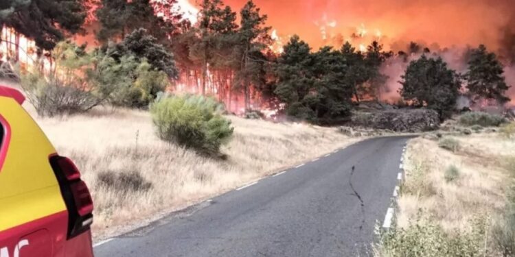 España evacúa 73,000 personas por 2 grandes fuegos forestales