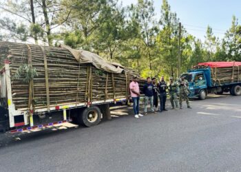 Soldados del Ejército incautan cargamento de madera sin documentación legal en Santiago
