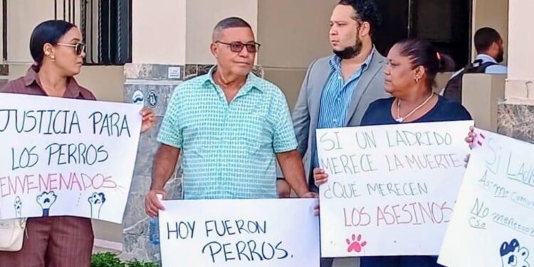 Realizan vigilia frente al Palacio de Justicia de Puerto Plata en protesta por envenenamiento masivo de perros