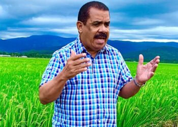 PLD alerta alza importaciones perjudica a productores de RD