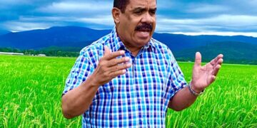 PLD alerta alza importaciones perjudica a productores de RD