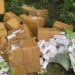 Autoridades investigan lanzamiento a vertedero cantidad de medicamentos vencidos en Dajabón 