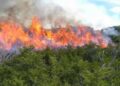 Se reactiva fuego Valle Nuevo, 70 brigadistas tratan sofocarlo
