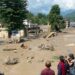 Más 150 muertos por brutales inundaciones en frontera China