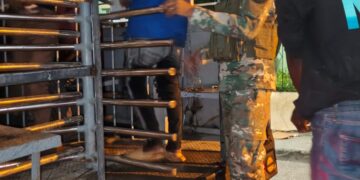 Elías Piña y Santiago con más extranjeros detenidos en operativos DGM el miércoles