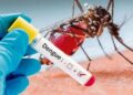 Contra el dengue