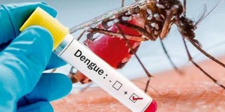 Contra el dengue