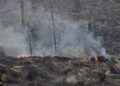 Brigadas luchan contra fuego en el Parque Nacional Valle Nuevo